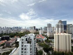 Neu At Novena (D11), Apartment #501900521